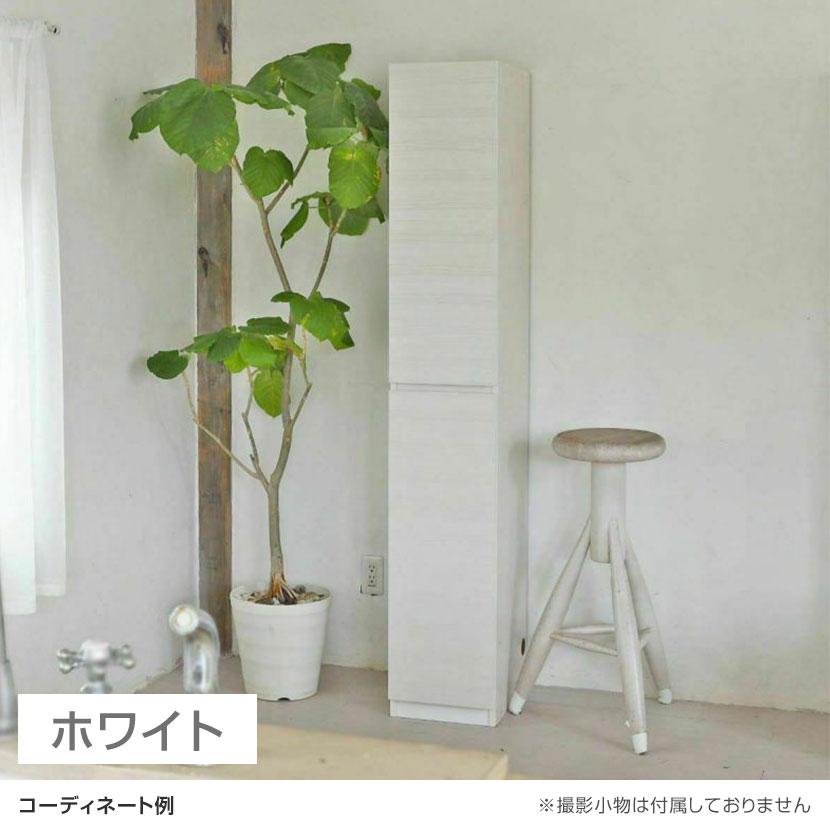 白井産業 キャビネット 壁面収納 本棚 スリム 巾木よけ 配線穴 耐震 