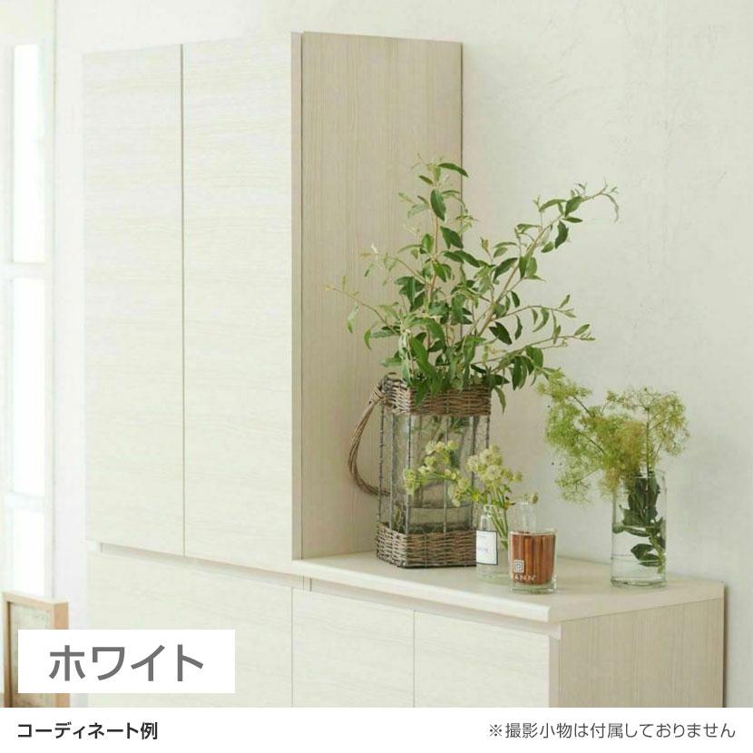 白井産業 シューズボックス 下駄箱 ダンパー付扉 樹脂棚 巾木よけ