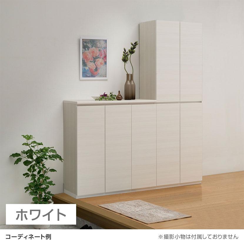白井産業 シューズボックス 下駄箱 ダンパー付扉 樹脂棚 巾木よけ