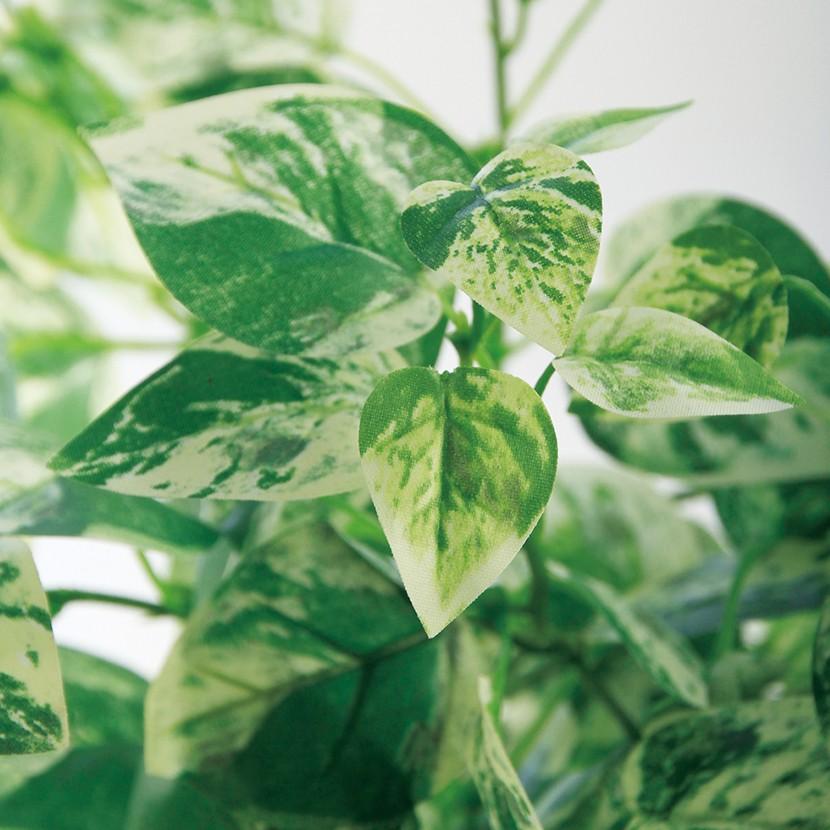 観葉植物 人工 樹木 ミニマーブルポトス 高さ250mm 卓上サイズ 鉢:Pスクエア(WH) |  | 01