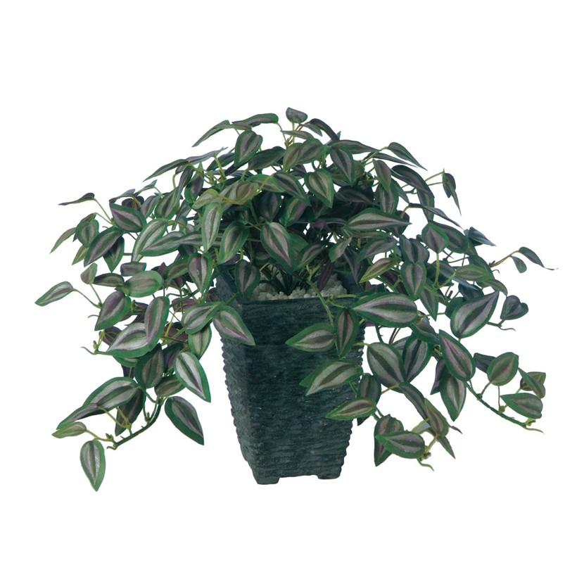 観葉植物 人工 樹木 セブリナ 高さ250mm 卓上サイズ 鉢:Pスクエア(BK) | 