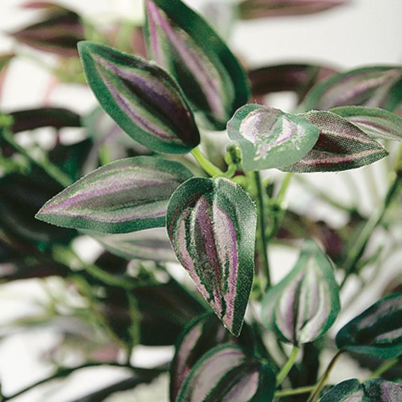 観葉植物 人工 樹木 セブリナ 高さ250mm 卓上サイズ 鉢:Pスクエア(BK) |  | 01