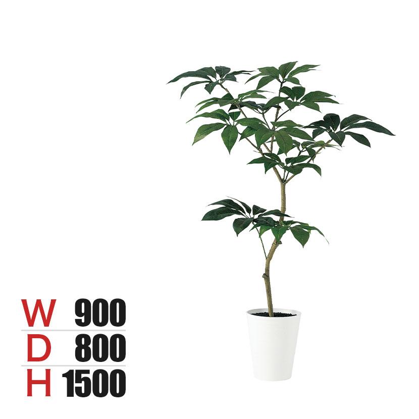 観葉植物 人工樹木 フェイクグリーン 造花 ツピダンサス FST 高さ1500mm 鉢:SA-10(WH) | 