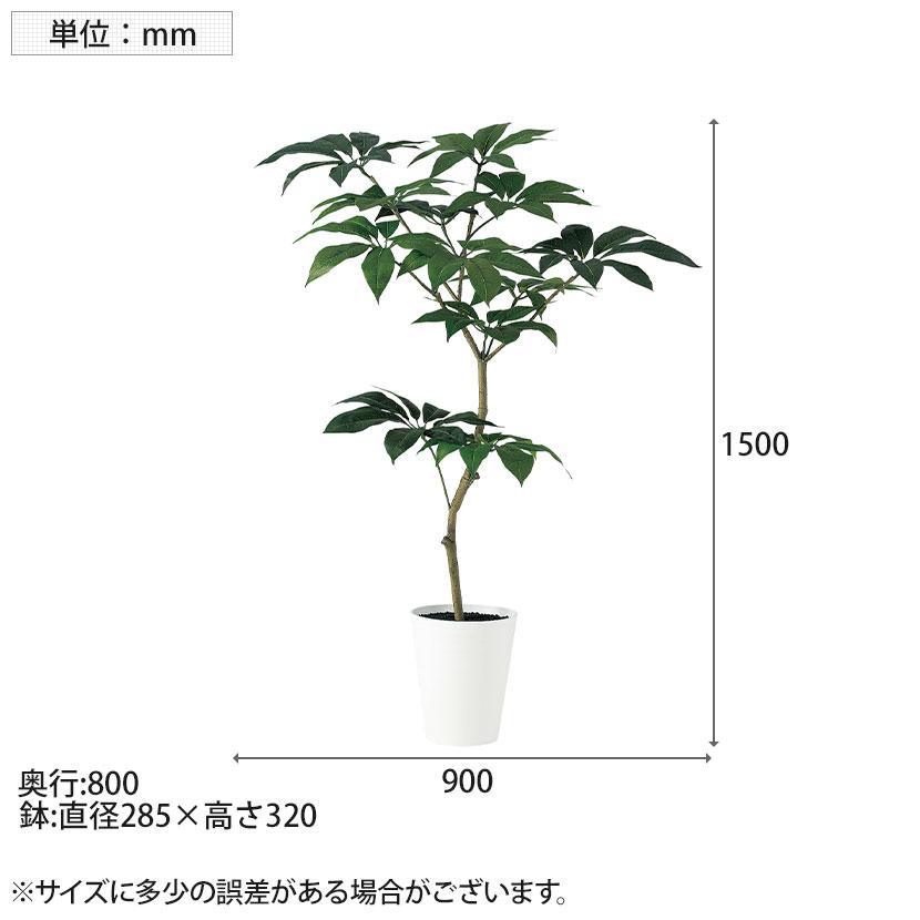 観葉植物 人工樹木 フェイクグリーン 造花 ツピダンサス FST 高さ1500mm 鉢:SA-10(WH) |  | 05