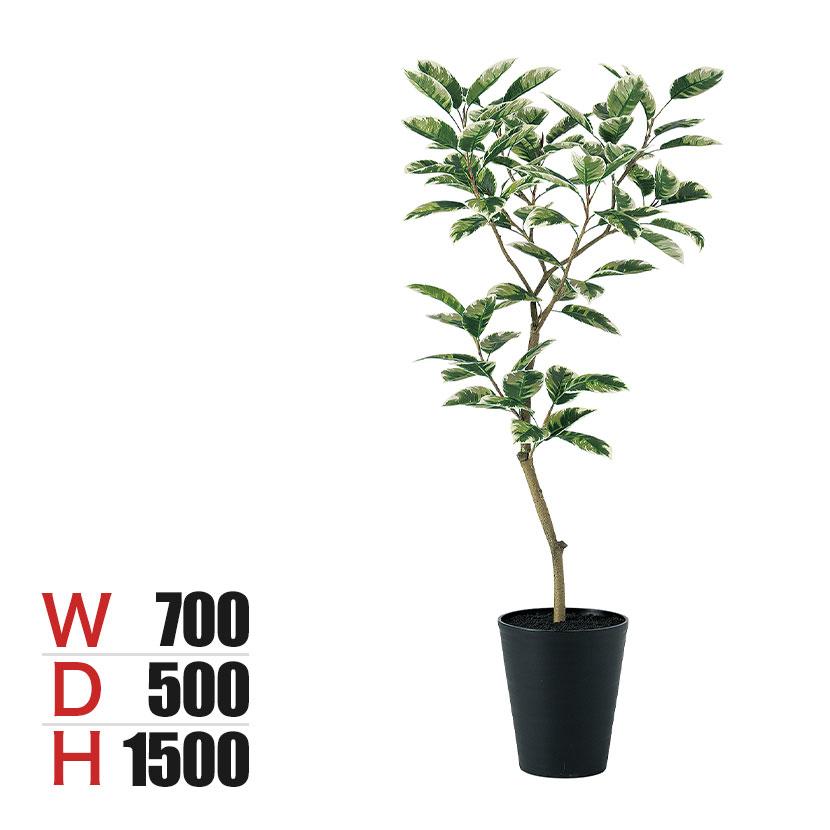 観葉植物 人工樹木 フェイクグリーン 造花 デコラトリカラー FST 高さ1500mm 鉢:SA-10(BK) | 