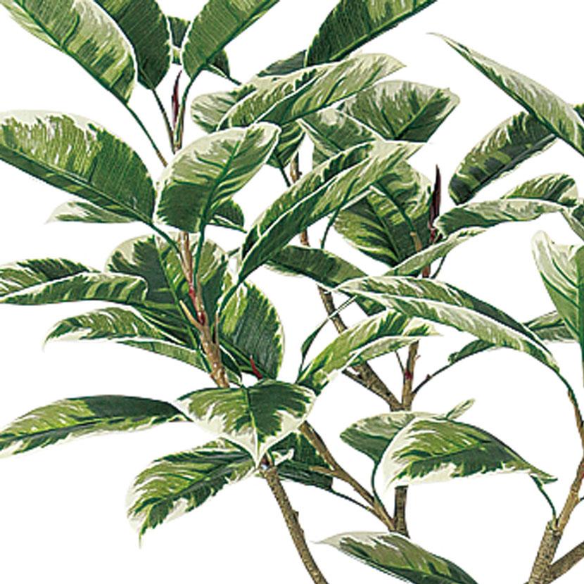 観葉植物 人工樹木 フェイクグリーン 造花 デコラトリカラー FST 高さ1500mm 鉢:SA-10(BK) |  | 01
