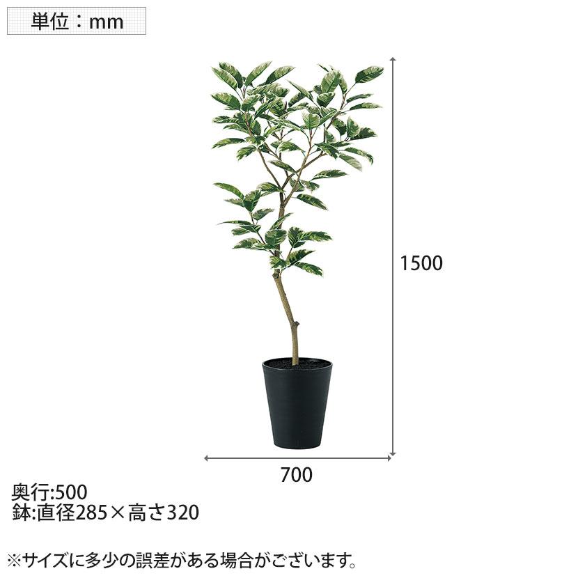 観葉植物 人工樹木 フェイクグリーン 造花 デコラトリカラー FST 高さ1500mm 鉢:SA-10(BK) |  | 05
