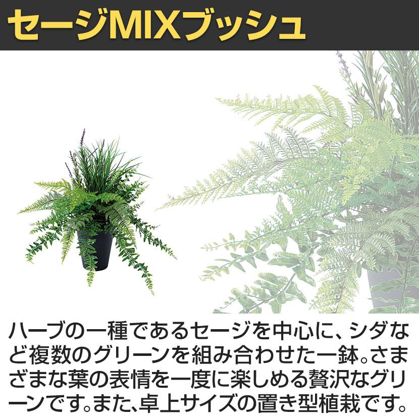 観葉植物 人工樹木 フェイクグリーン 造花 セージMIXブッシュ 高さ500mm 鉢:SA-5(BK) 卓上 |  | 02