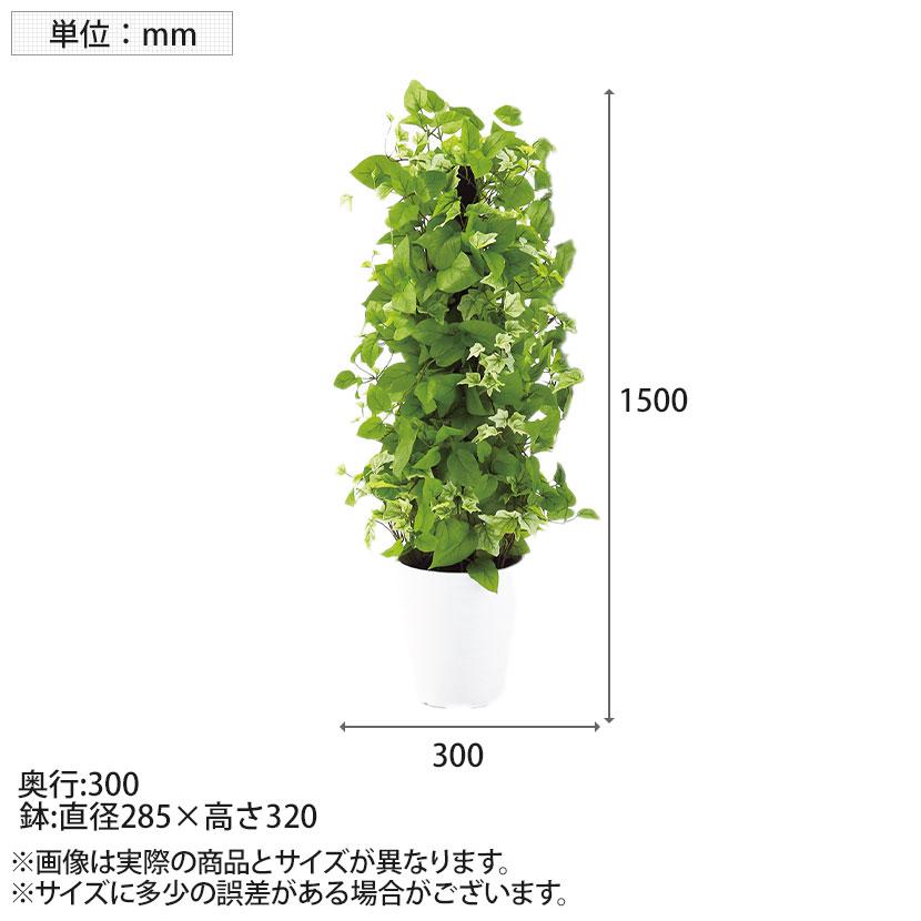 観葉植物 人工樹木 フェイクグリーン 造花 MIXヘゴ ライム/ライム 高さ1500mm 鉢:SA-10(WH)_7