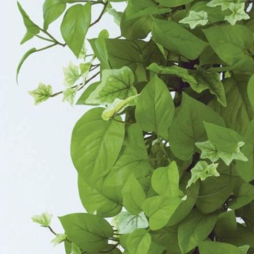 観葉植物 人工樹木 フェイクグリーン 造花 MIXヘゴ ライム/ライム 高さ900mm 鉢:SA-7(WH) |  | 02