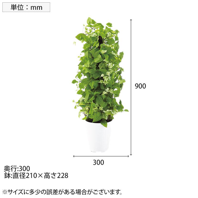 観葉植物 人工樹木 フェイクグリーン 造花 MIXヘゴ ライム/ライム 高さ900mm 鉢:SA-7(WH) |  | 06