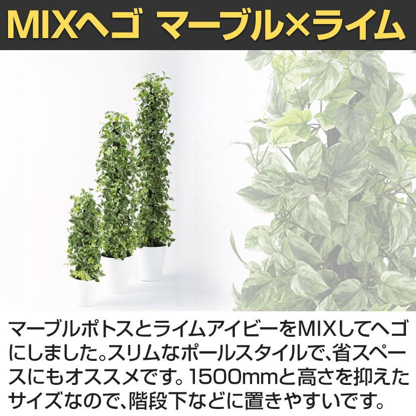 観葉植物 人工樹木 フェイクグリーン 造花 MIXヘゴ マーブル/ライム 高さ1500mm 鉢:SA-10(WH)_4