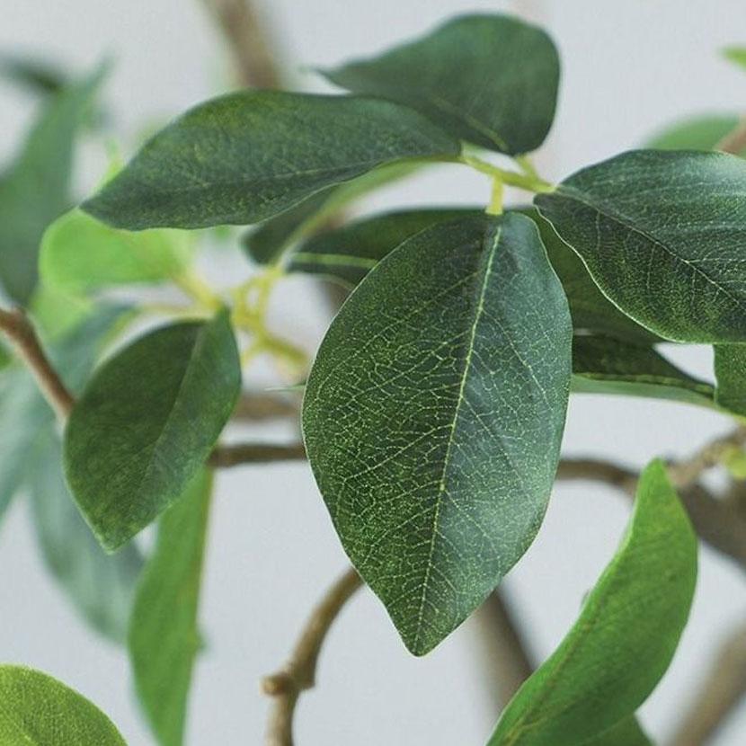 観葉植物 人工樹木 フェイクグリーン 造花 ガジュマル FST 高さ1200mm 鉢:SA-7(WH) |  | 02