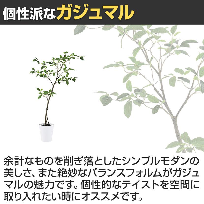 観葉植物 人工樹木 フェイクグリーン 造花 ガジュマル FST 高さ1200mm 鉢:SA-7(WH) |  | 03