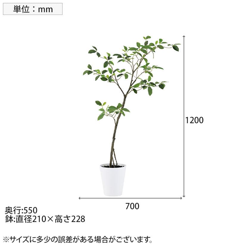 観葉植物 人工樹木 フェイクグリーン 造花 ガジュマル FST 高さ1200mm 鉢:SA-7(WH) |  | 06