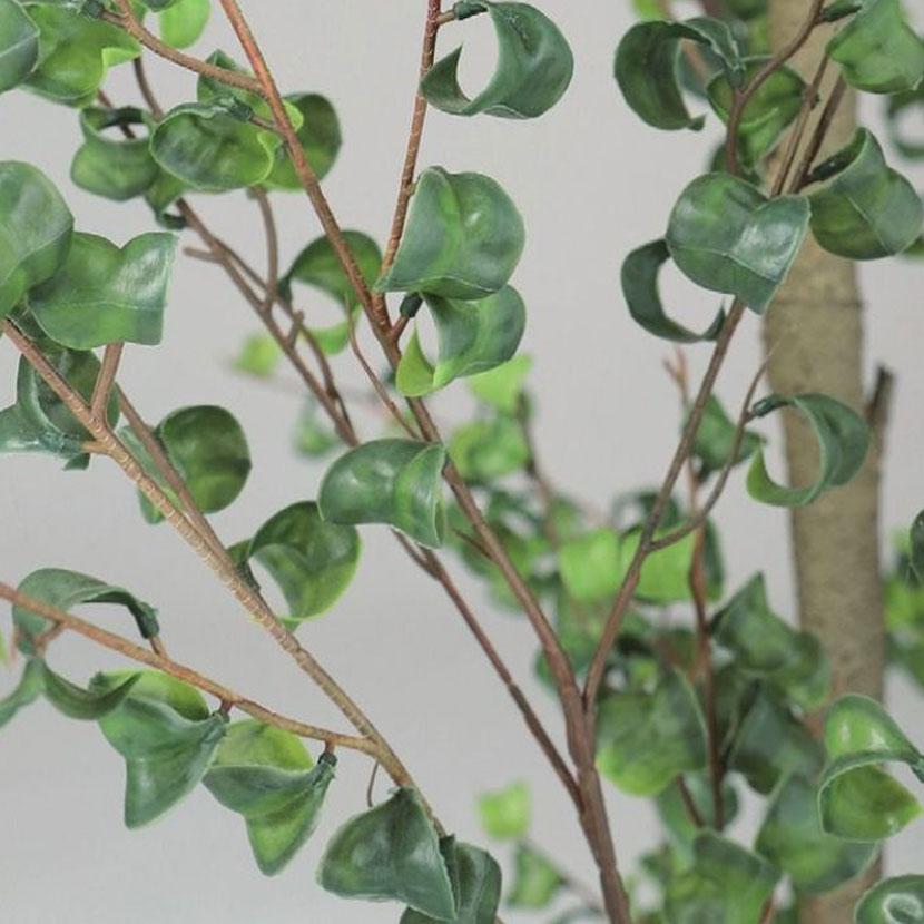 観葉植物 人工樹木 フェイクグリーン 造花 ベンジャミンバロック FST 高さ1200mm 鉢:SA-7(WH) |  | 01