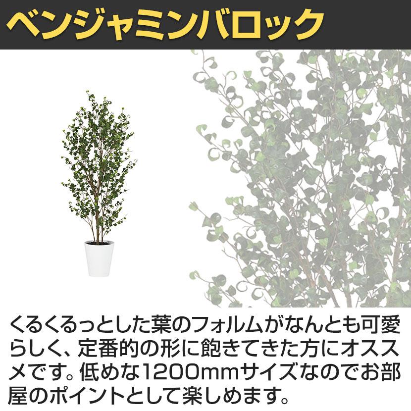 観葉植物 人工樹木 フェイクグリーン 造花 ベンジャミンバロック FST 高さ1200mm 鉢:SA-7(WH) |  | 02