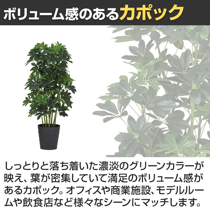 観葉植物 人工樹木 フェイクグリーン 造花 グリーンカポック ブラックポット付き 高さ1000mm |  | 02