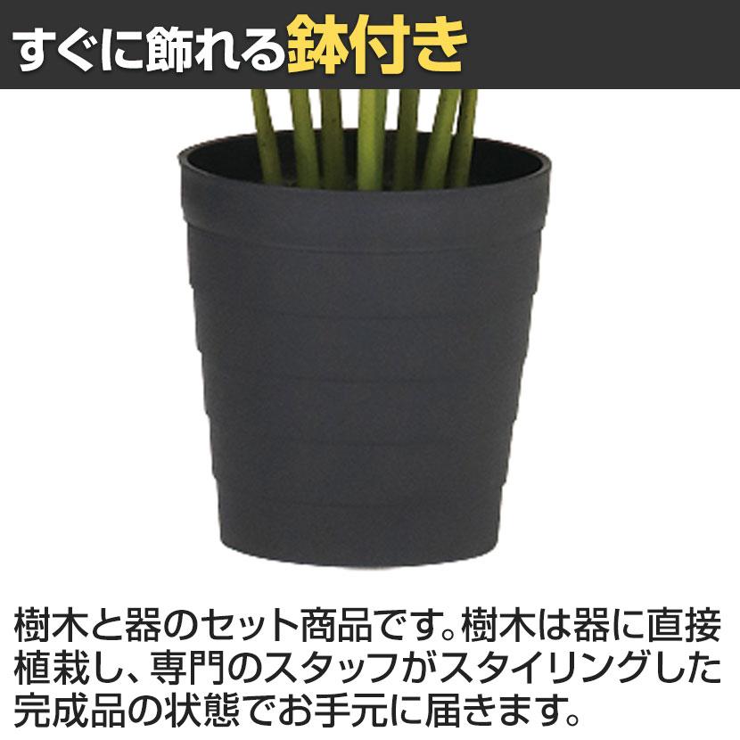 観葉植物 人工樹木 フェイクグリーン 造花 グリーンカポック ブラックポット付き 高さ1000mm |  | 03