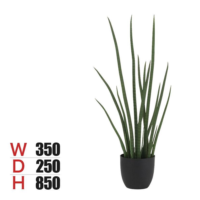 観葉植物 人工樹木 フェイクグリーン 造花 サンスベリア・スタッキー ブラックポット付き 高さ850mm | 