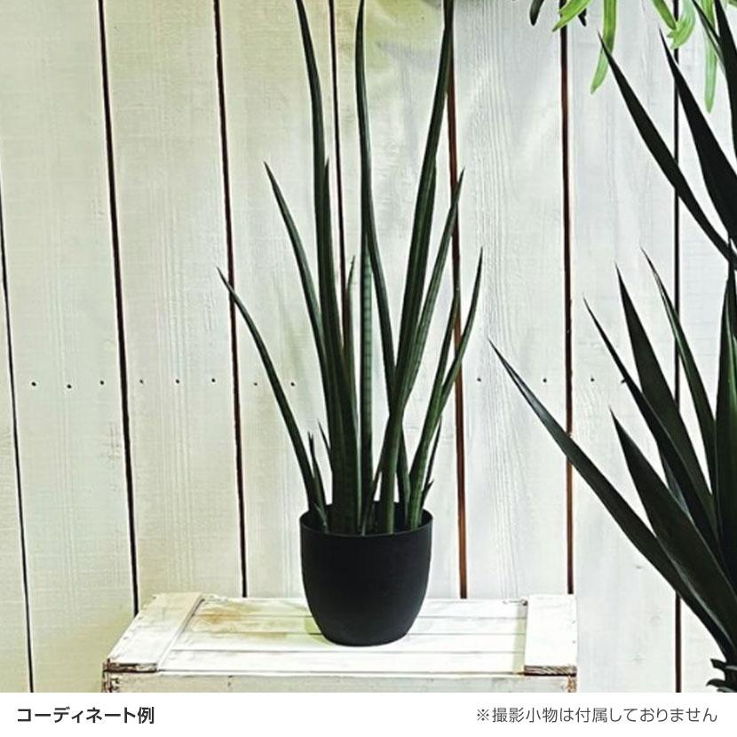 観葉植物 人工樹木 フェイクグリーン 造花 サンスベリア・スタッキー ブラックポット付き 高さ850mm |  | 01