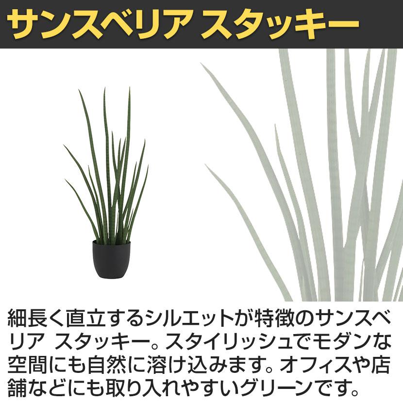 観葉植物 人工樹木 フェイクグリーン 造花 サンスベリア・スタッキー ブラックポット付き 高さ850mm |  | 03
