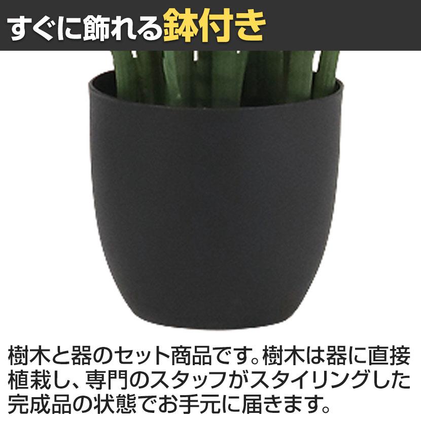 観葉植物 人工樹木 フェイクグリーン 造花 サンスベリア・スタッキー ブラックポット付き 高さ850mm |  | 04