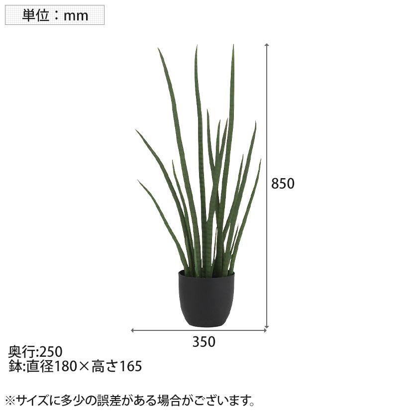 観葉植物 人工樹木 フェイクグリーン 造花 サンスベリア・スタッキー ブラックポット付き 高さ850mm |  | 06