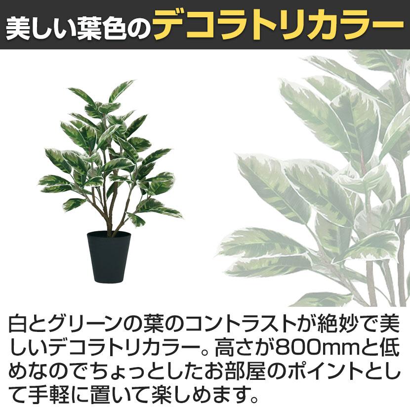 観葉植物 人工樹木 フェイクグリーン 造花 デコラトリカラー FST 高さ800mm 鉢:SA-6(BK) |  | 02