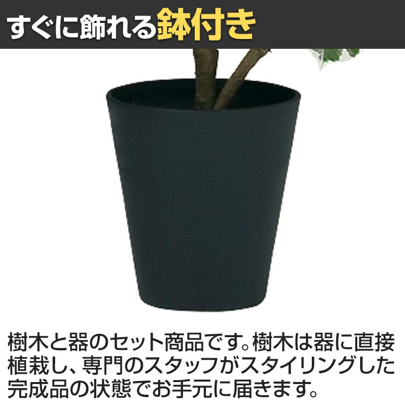 観葉植物 人工樹木 フェイクグリーン 造花 デコラトリカラー FST 高さ800mm 鉢:SA-6(BK) |  | 03