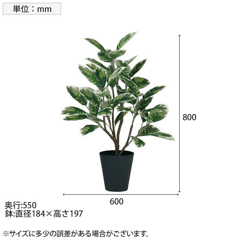 観葉植物 人工樹木 フェイクグリーン 造花 デコラトリカラー FST 高さ800mm 鉢:SA-6(BK) |  | 05