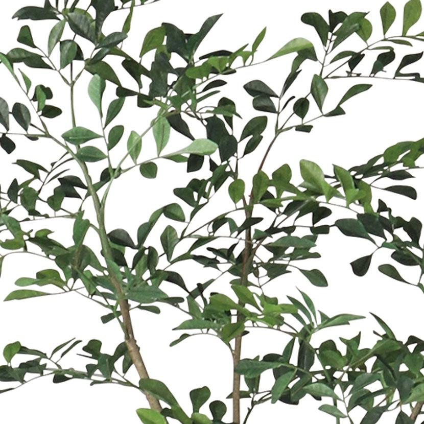 観葉植物 人工樹木 フェイクグリーン 造花 トネリコ FST 高さ1200mm 鉢:SA-7(WH)_2