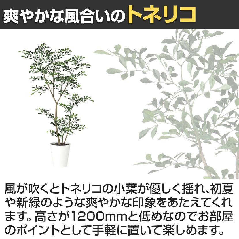 観葉植物 人工樹木 フェイクグリーン 造花 トネリコ FST 高さ1200mm 鉢:SA-7(WH)_3