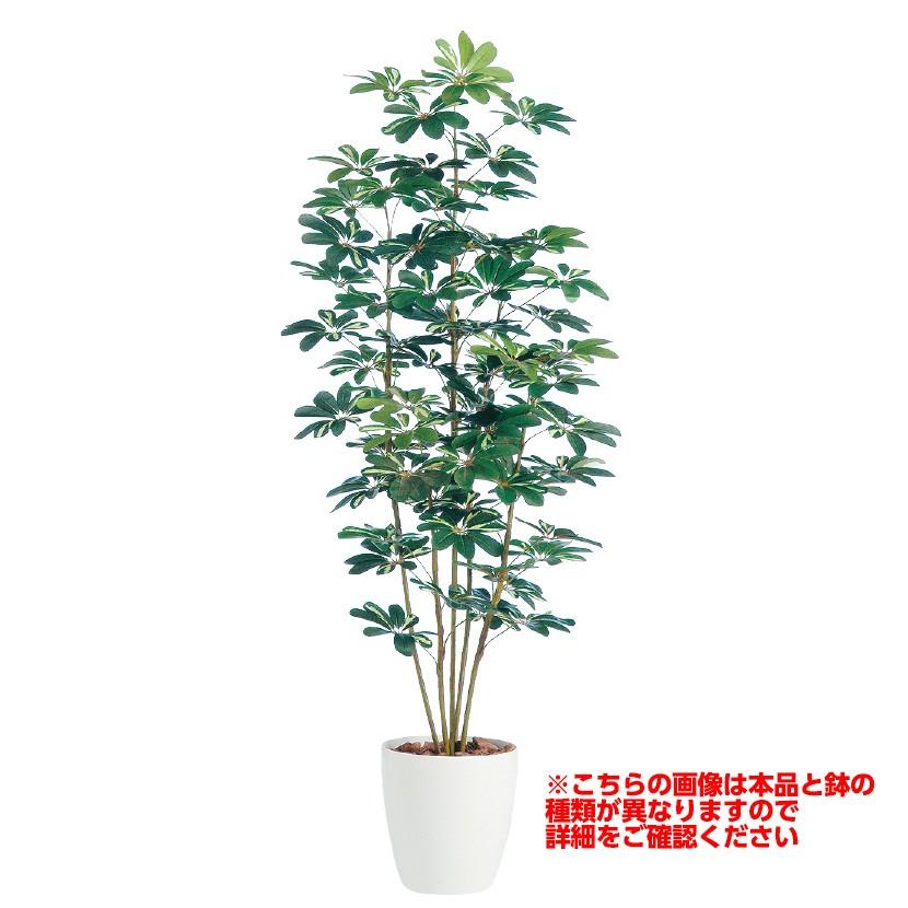 代引き不可 観葉植物 人工 Lサイズ 樹木 観葉植物 シェフレラ 高さ1800mm 高さ1800mm Lサイズ 鉢 懸崖9号 オフィス家具通販のオフィスコム 通販 当店だけの限定モデル即出荷