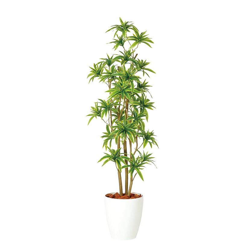 観葉植物 フェイクグリーン 人工 樹木 ソング・オブ・インディア FST