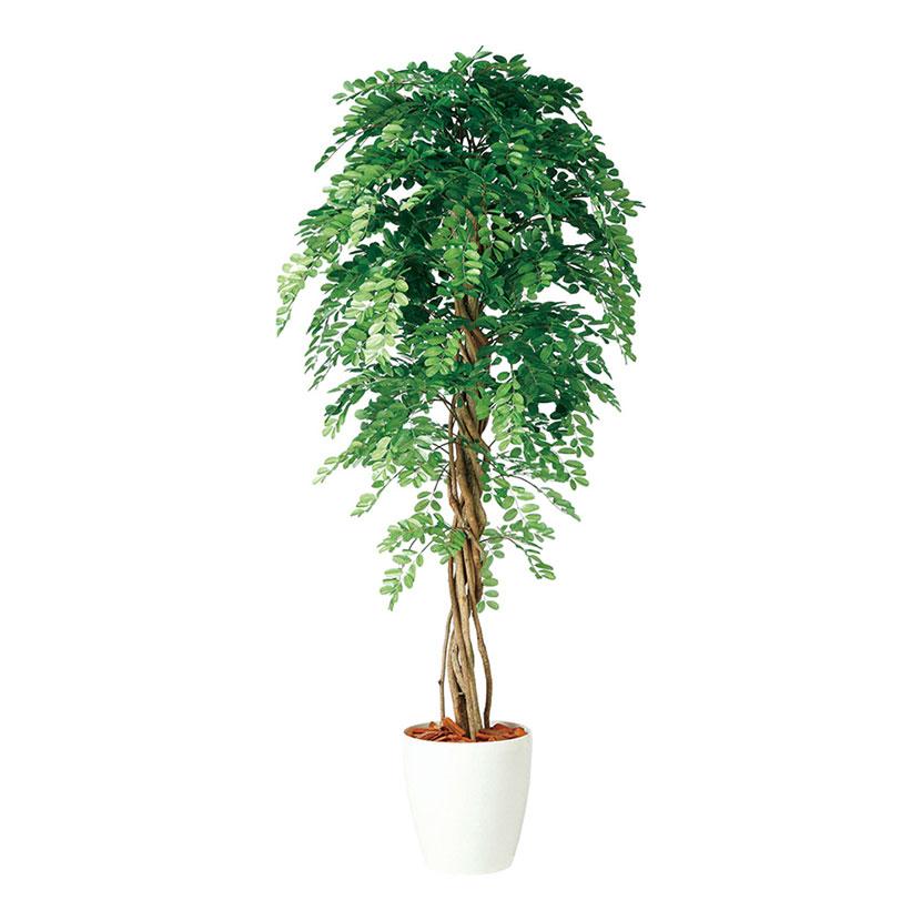 メーカー直送｜人工観葉植物 大型 ライプオリーブデュアル 200cm 鉢植 フェイクグリーン 観葉植物 造花 インテリア 98661
