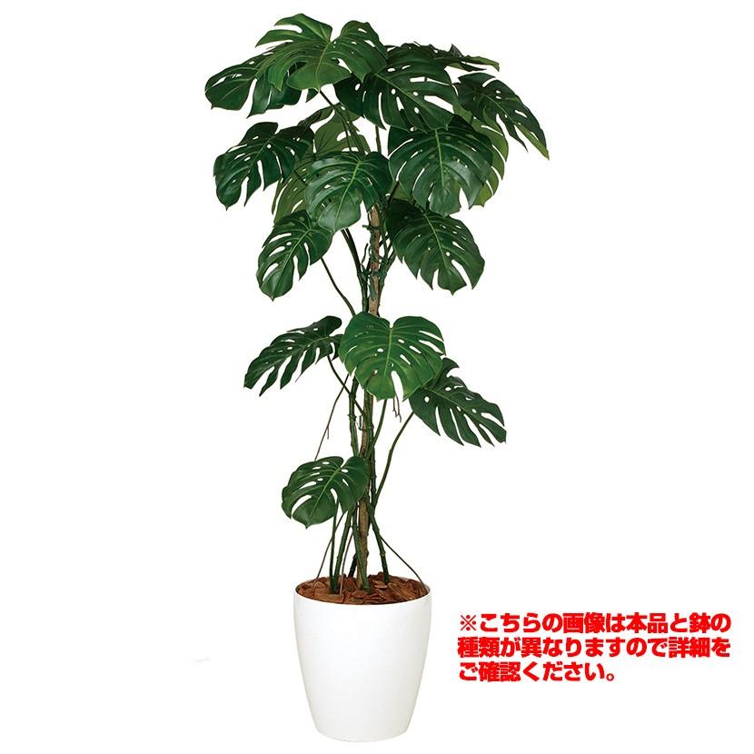 格安即決 観葉植物 人工 樹木 モンステラバイン 高さ1800mm Lサイズ 鉢 簡易ポット 激安単価で Www Simon Page Com