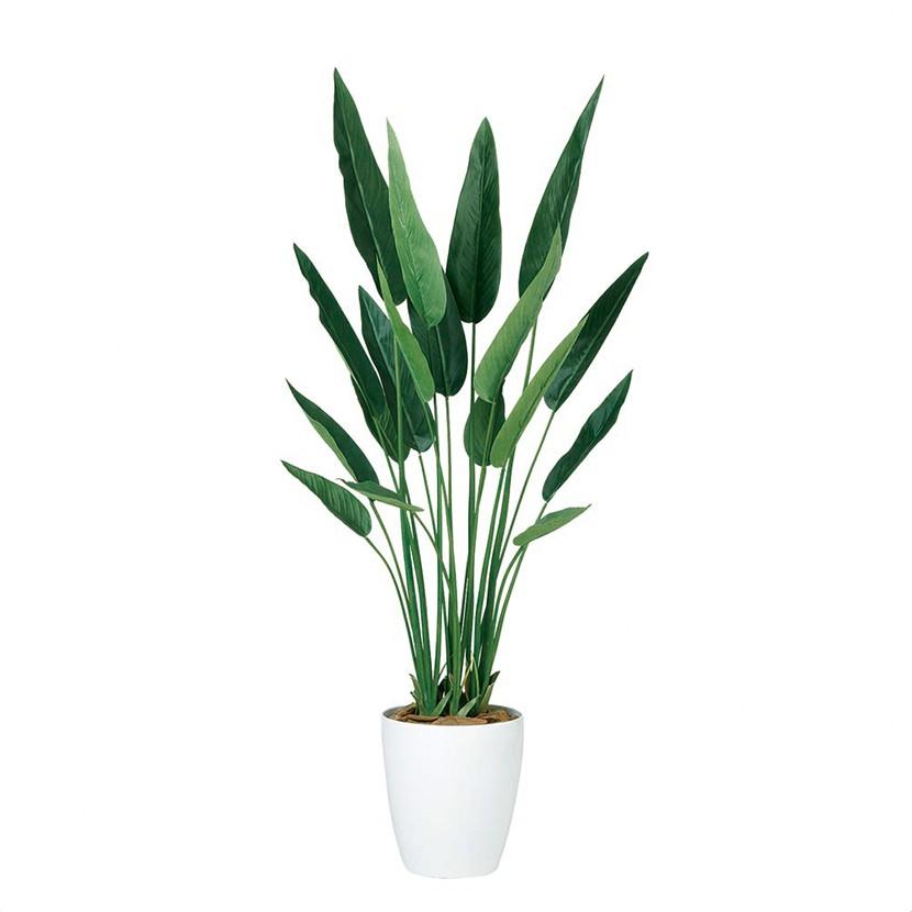 観葉植物 フェイクグリーン 人工 樹木 ストレリチア・レギネ 高さ1400mm Mサイズ 鉢:RP-265