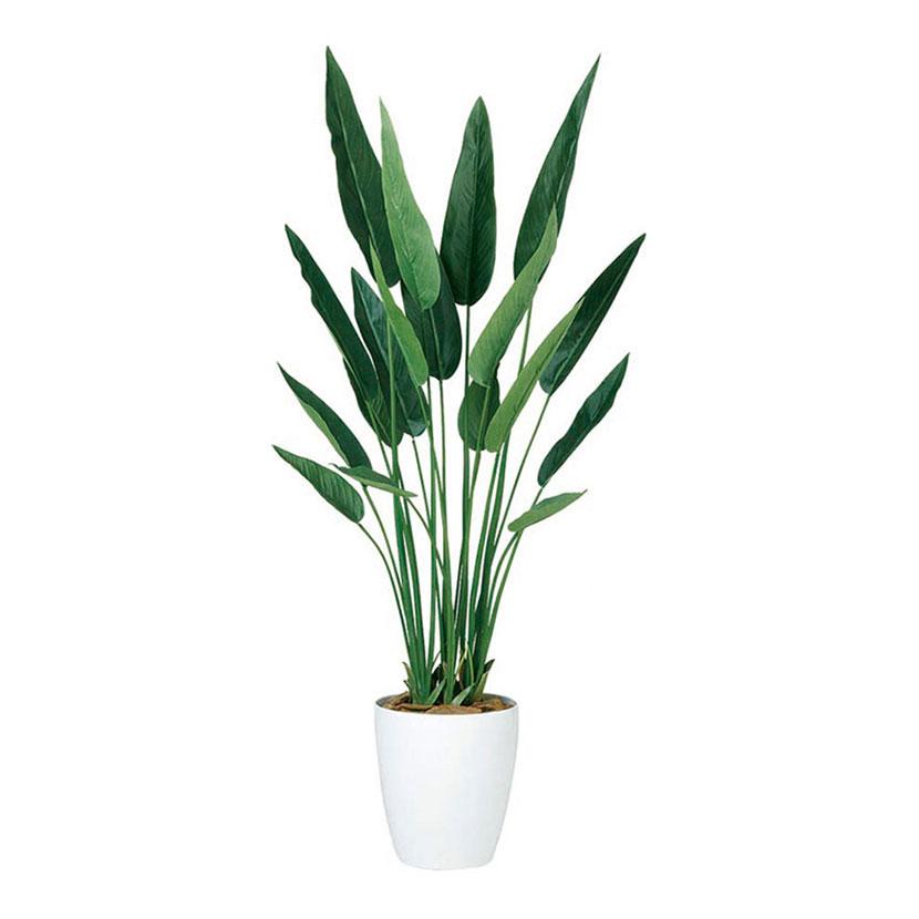 観葉植物 フェイクグリーン 人工 樹木 ストレリチア・レギネ 高さ1300mm Sサイズ 鉢:簡易ポット | 