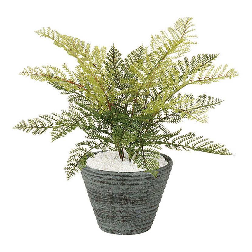 観葉植物 フェイクグリーン 人工 樹木 フェザーファン 高さ300mm Pサイズ 鉢:PラウンドS BK | 