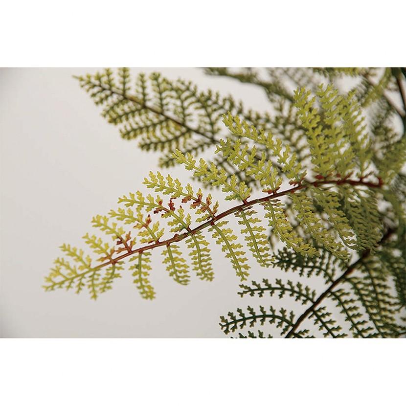 観葉植物 フェイクグリーン 人工 樹木 フェザーファン 高さ300mm Pサイズ 鉢:PラウンドS BK |  | 01