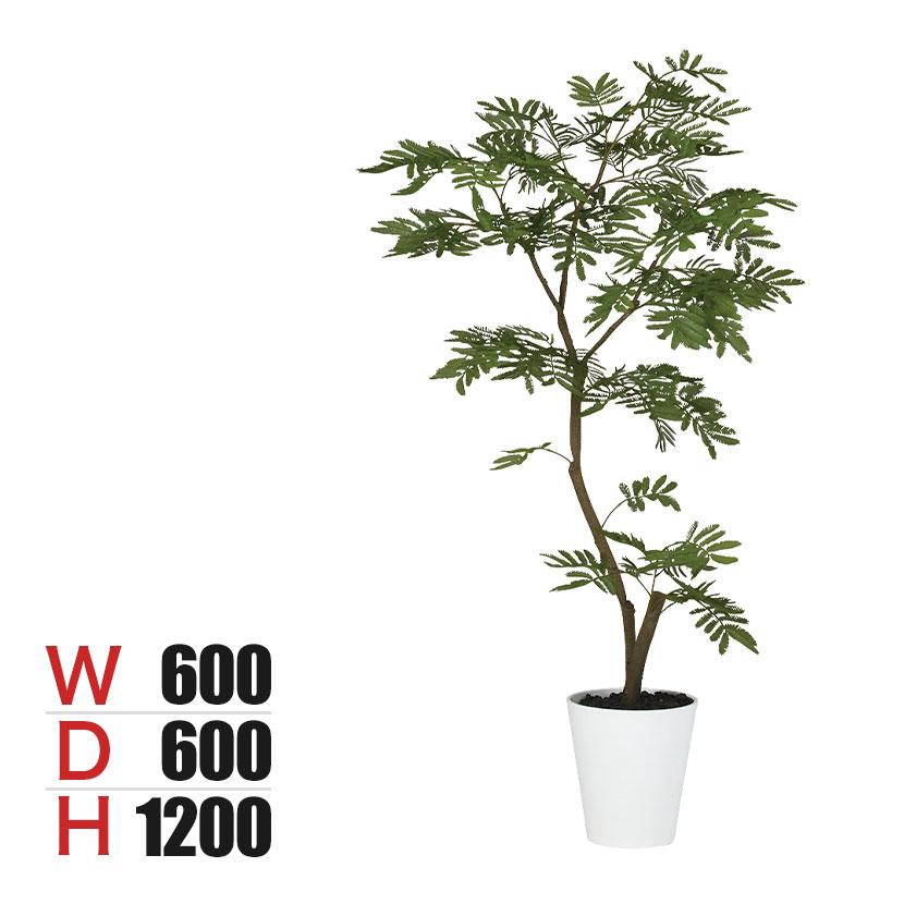 2026年3月下旬入荷予定 観葉植物 人工樹木 フェイクグリーン 造花 エバーフレッシュ FST 高さ1200mm 鉢:SA-7(WH) | 