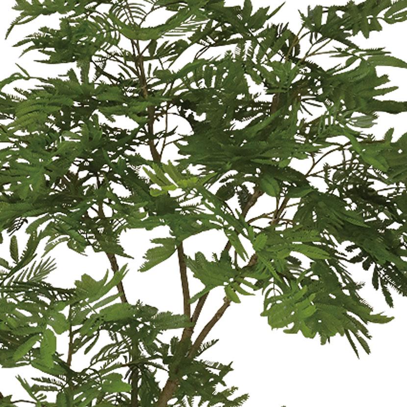 2026年3月下旬入荷予定 観葉植物 人工樹木 フェイクグリーン 造花 エバーフレッシュ FST 高さ1200mm 鉢:SA-7(WH) |  | 01