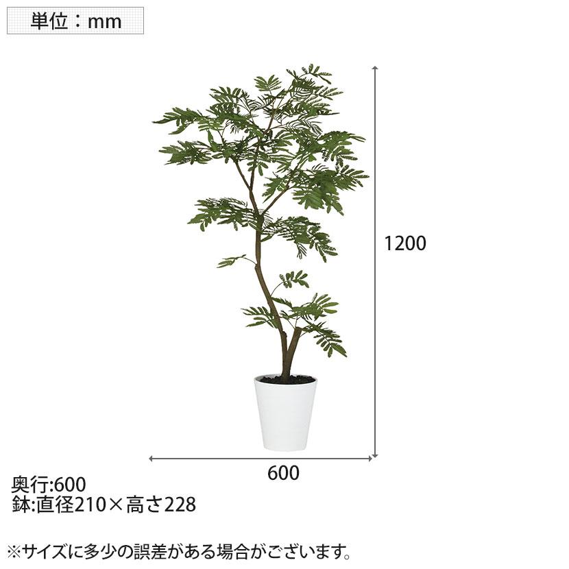 2026年3月下旬入荷予定 観葉植物 人工樹木 フェイクグリーン 造花 エバーフレッシュ FST 高さ1200mm 鉢:SA-7(WH) |  | 05
