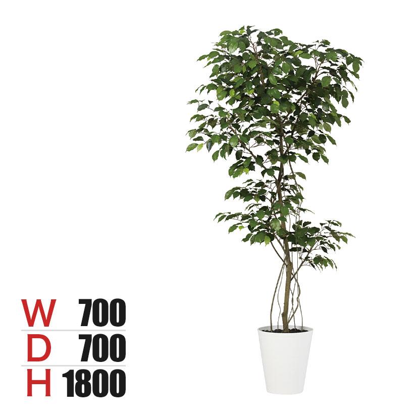 観葉植物 人工樹木 フェイクグリーン 造花 ベンジャミン FST 高さ