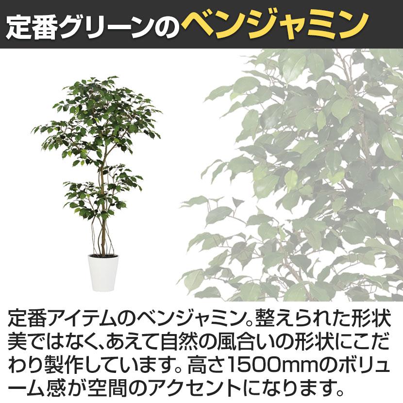 観葉植物 人工樹木 フェイクグリーン 造花 ベンジャミン FST 高さ1500mm 鉢:SA-8(WH) |  | 03