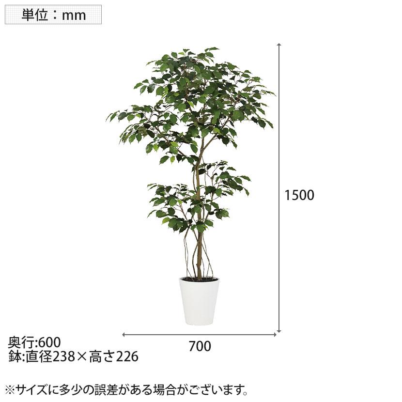 観葉植物 人工樹木 フェイクグリーン 造花 ベンジャミン FST 高さ1500mm 鉢:SA-8(WH) |  | 06