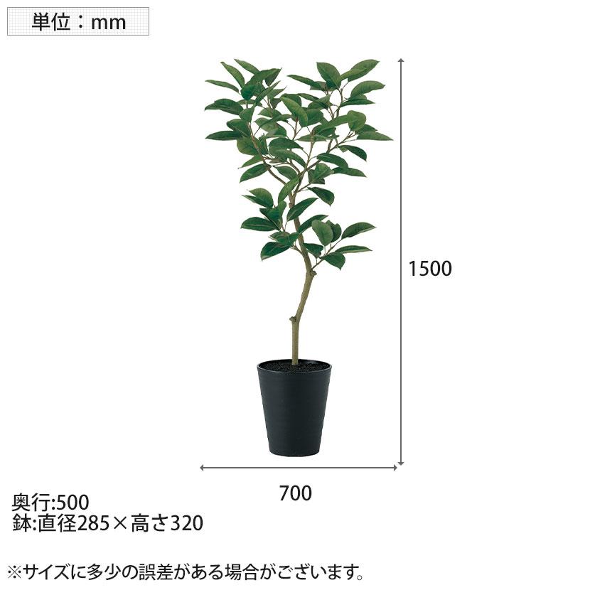 観葉植物 人工樹木 フェイクグリーン 造花 デコラゴム FST 高さ1500mm 鉢:SA-10(BK)_5