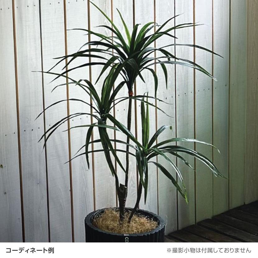 観葉植物 人工樹木 フェイクグリーン 造花 コンシンネ 高さ1200mm 鉢:SA-7(WH) |  | 01