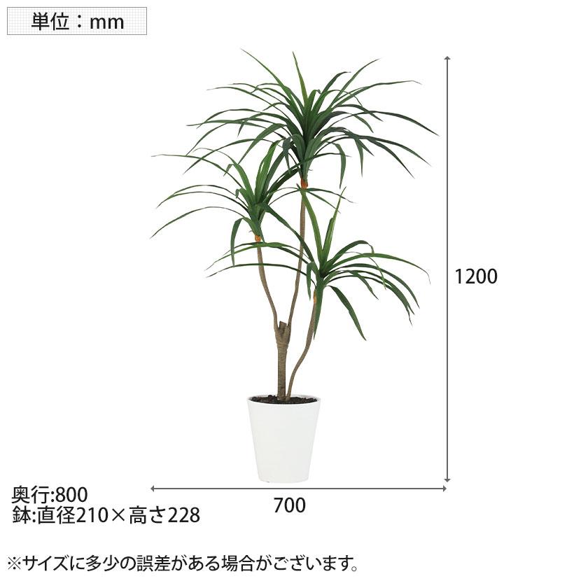 観葉植物 人工樹木 フェイクグリーン 造花 コンシンネ 高さ1200mm 鉢:SA-7(WH) |  | 06